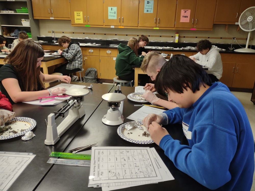 Student at PCMS dissect owl pellets