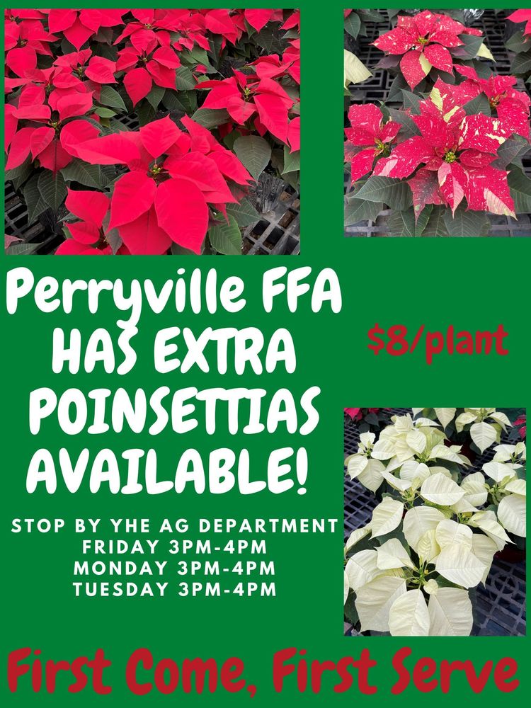 Perryville FFA Poinsettia's For Sale